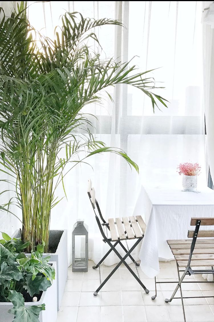 哈爾濱花園小學校區房怎么劃分 哈爾濱花園小學校區房怎么劃分