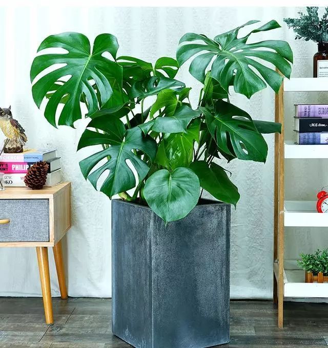 衛(wèi)生間裝修效果圖 衛(wèi)生間裝修效果圖